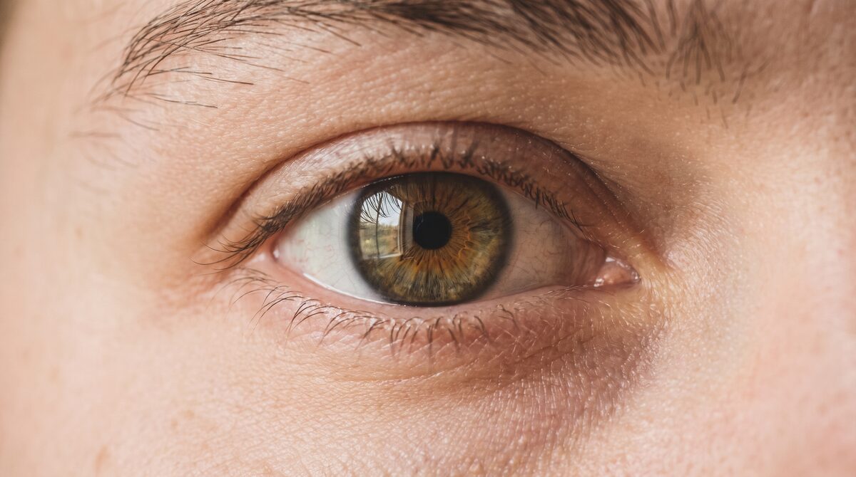 Extreme close view of an eye showing a soft rectangular reflection of a window