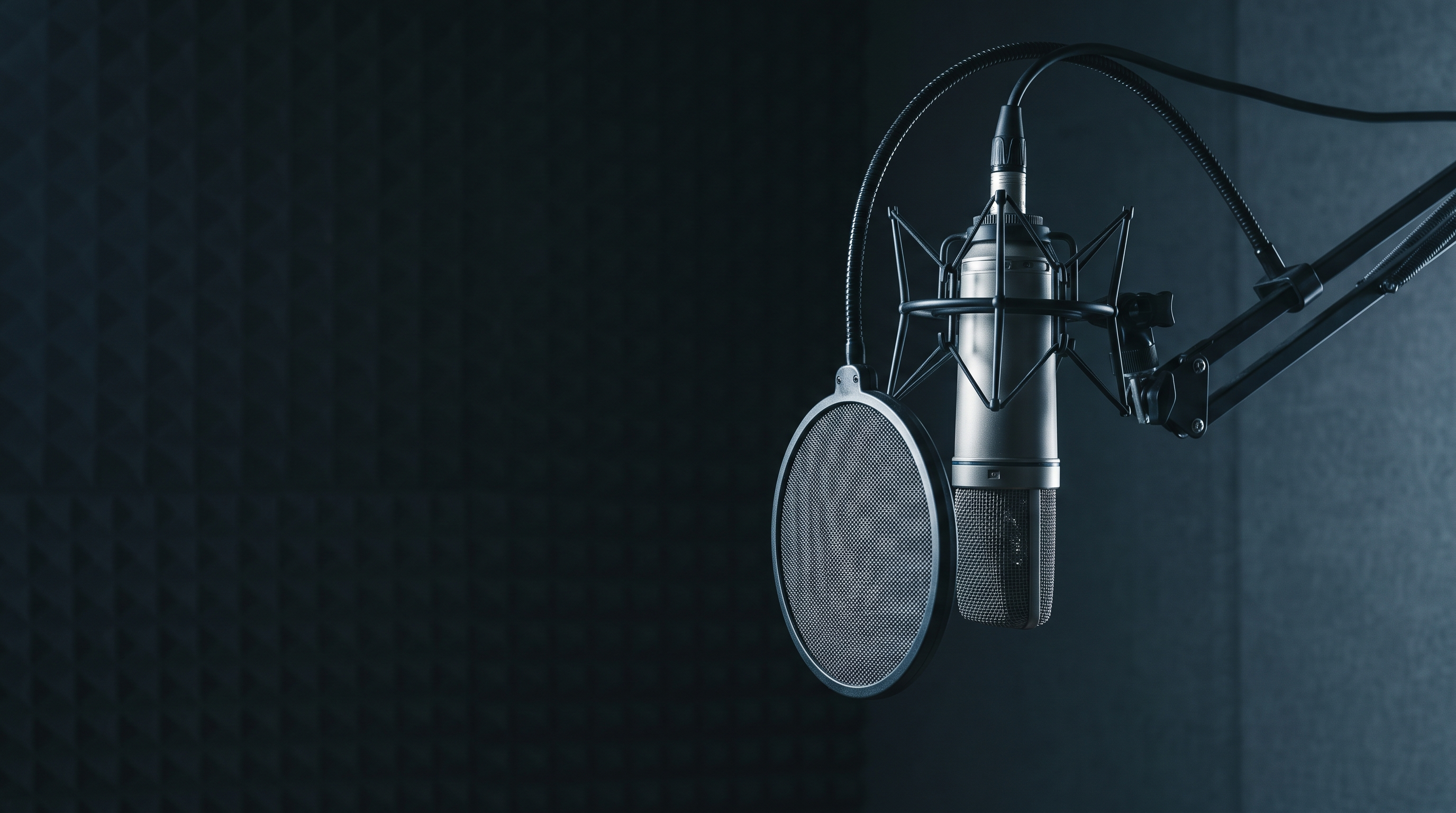 A studio condenser microphone on a boom arm with a pop shield in a dark booth